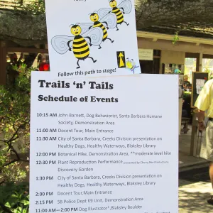 Trails n Tails 2014