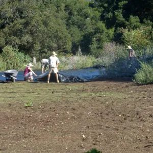 Meadow Revival Project Black Plastic Mulch Installation
