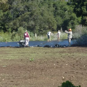 Meadow Revival Project Black Plastic Mulch Installation