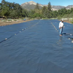 Meadow Revival Project Black Plastic Mulch Installation