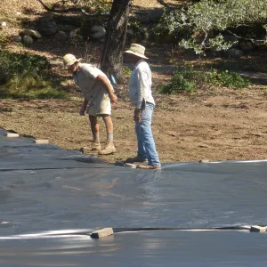 Meadow Revival Project Black Plastic Mulch Installation