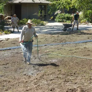Meadow Revival Project Black Plastic Mulch Installation