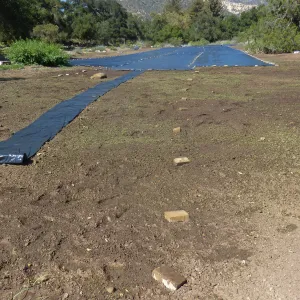 Meadow Revival Project Black Plastic Mulch Installation
