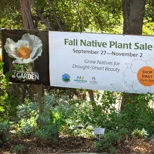 Fall Plant Sale 2014 Banner