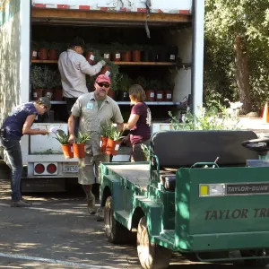 Fall Plant Sale 2014 Preparations