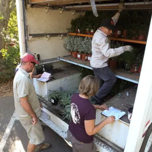 Fall Plant Sale 2014 Preparations