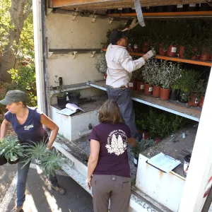 Fall Plant Sale 2014 Preparations