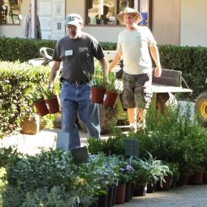 Fall Plant Sale 2014 Preparations
