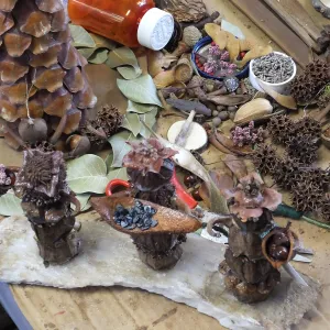 Garden Guild Projects