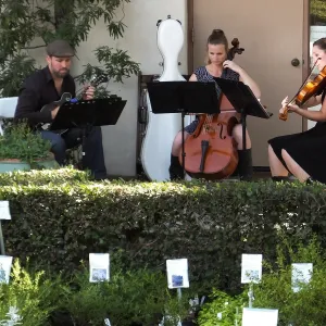 Fall Plant Sale 2014 Member Preview Party, Mission Creek Trio