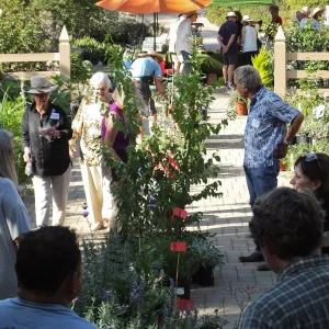 Fall Plant Sale 2014 Member Preview Party