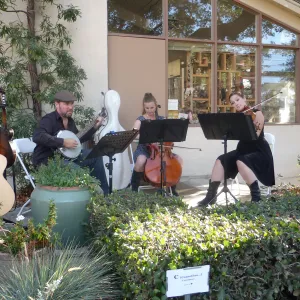 Fall Plant Sale 2014 Member Preview Party, Mission Creek Trio