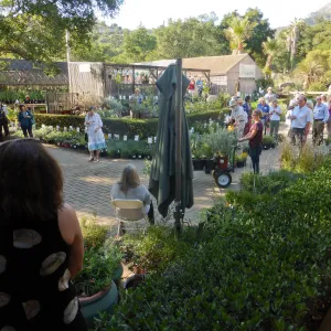 Fall Plant Sale 2014 Member Preview Party