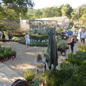 Fall Plant Sale 2014 Member Preview Party