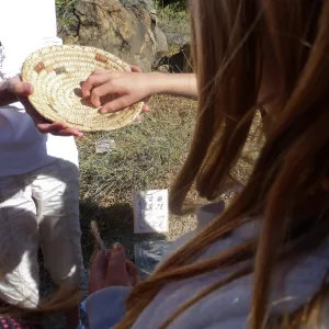 Chumash Uses of Plants Tour for 3rd Graders from Cold Springs School