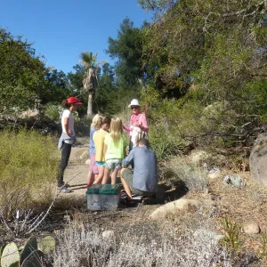 Chumash Uses of Plants Tour for 3rd Graders from Cold Springs School