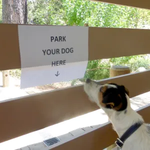 Park Your Dog Here