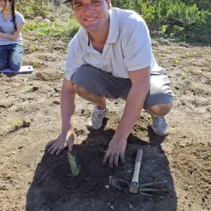 Meadow Revival Project, Blue Gramma Plug Planting, Volunteers from Hofmann Architecture