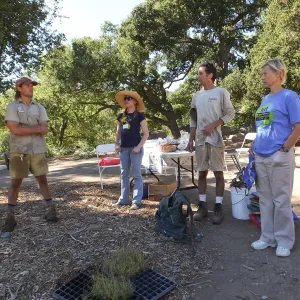 Meadow Revival Project, Blue Gramma Plug Planting