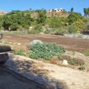 Meadow Revival Project, Blue Gramma Plug Planting