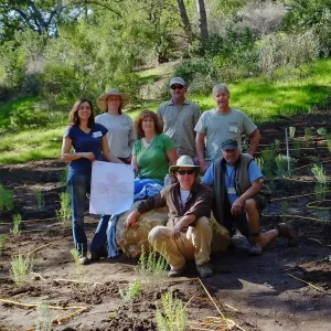 Centennial Maze Planting