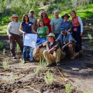 Centennial Maze Planting