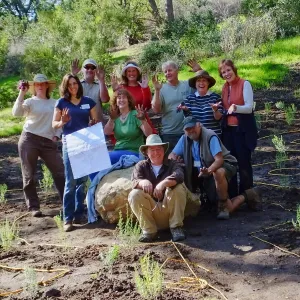 Centennial Maze Planting