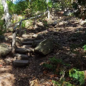 View from east wall of Mission Canyon on trail below Manzanita Section