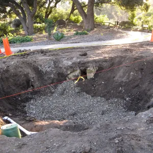 2012 Meadow Oaks Planting
