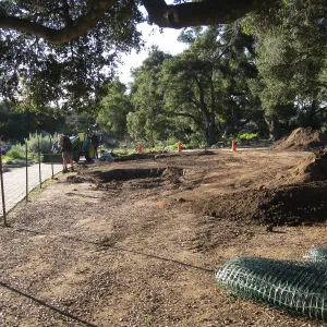 2012 Meadow Oaks Planting