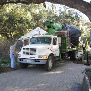 2012 Meadow Oaks Planting, Berylwood Tree Farms