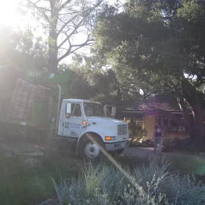 2012 Meadow Oaks Planting, Berylwood Tree Farms