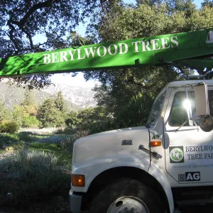2012 Meadow Oaks Planting, Berylwood Tree Farms