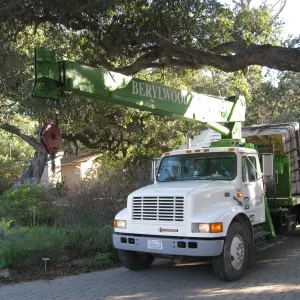 2012 Meadow Oaks Planting, Berylwood Tree Farms