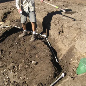 2012 Meadow Oaks Planting