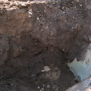 2012 Meadow Oaks Planting