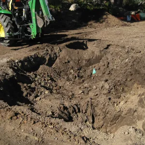 2012 Meadow Oaks Planting