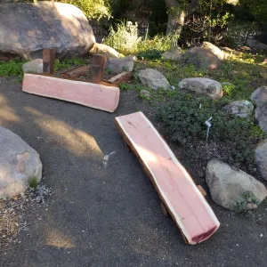 Installation of the Bobbie Jones bench, made from the giant sequoia removed from the Arroyo Section