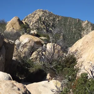 New Years Day Arlington Peak Hike, view towards summit