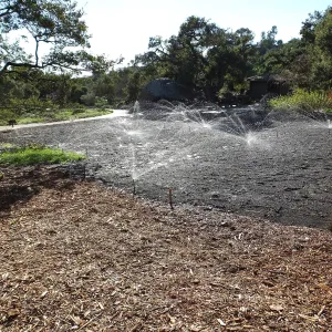 Meadow Restoration Project, Year 2, First Irrigation after Wildflower Seed Sowing