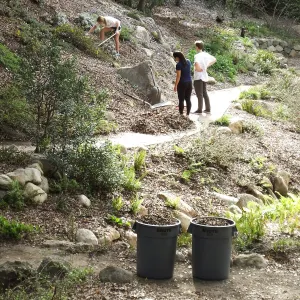 Volunteers from Cate School working in the Arroyo Section