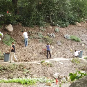 Volunteers from Cate School working in the Arroyo Section