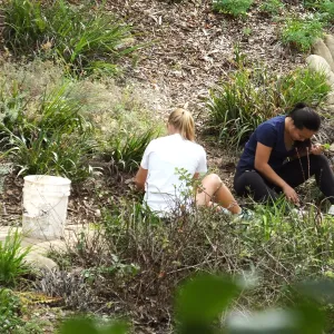 Volunteers from Cate School working in the Arroyo Section