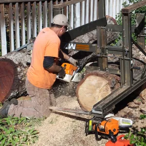 Trunk of former Cottage Oak (Coastal Live Oak)being milled into slabs by Ed Smith of Local Wood