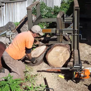 Trunk of former Cottage Oak (Coastal Live Oak) being milled into slabs by Ed Smith of Local Wood