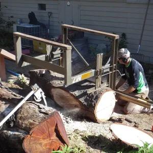 Trunk of former Cottage Oak (Coastal Live Oak) being milled into slabs by Ed Smith of Local Wood