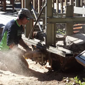 Trunk of former Cottage Oak (Coastal Live Oak) being milled into slabs by Ed Smith of Local Wood