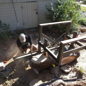 Trunk of former Cottage Oak (Coastal Live Oak) being milled into slabs by Ed Smith of Local Wood