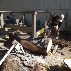 Trunk of former Cottage Oak (Coastal Live Oak) being milled into slabs by Ed Smith of Local Wood
