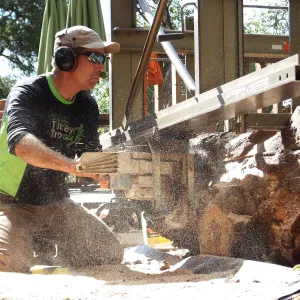 Trunk of former Cottage Oak (Coastal Live Oak) being milled into slabs by Ed Smith of Local Wood